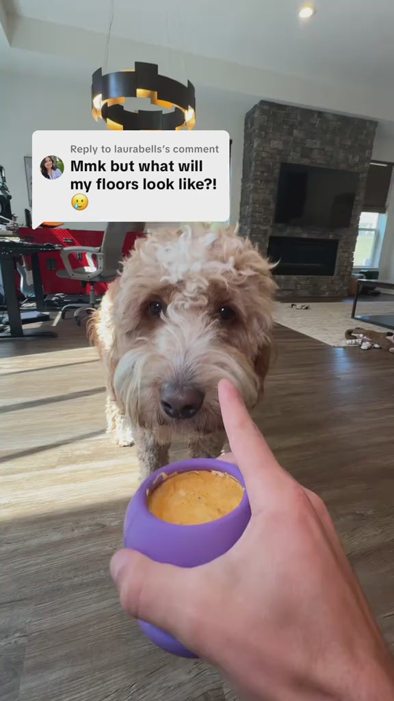 FreezBone™ - Durable Fillable Dog Chew Bone video