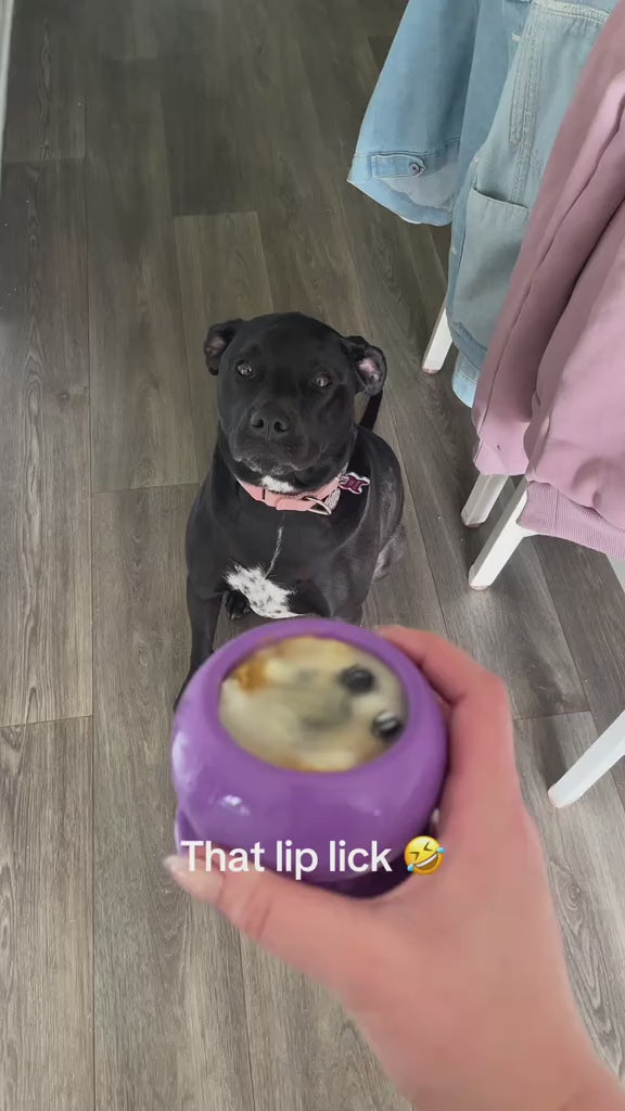 FreezBone™ - Durable Fillable Dog Chew Bone video